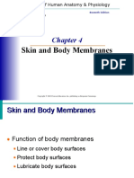 Anatomy Unit 4 Skin and Body Membranes