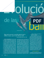 Ballenas