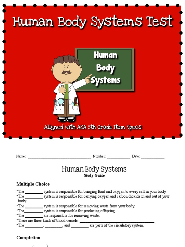 Human Body Systems Test Study Guide PDF Human Body Blood