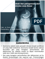 Faktor Penyebab Dan Patogenesis Dari Karsinoma Usus Besar