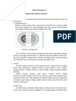 Materi Pembelajaran Struktur Dan Fungsi Tumbuhan New