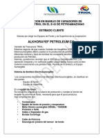 Curso Basico de Incremento de Frecuencia en Rampa - Variador TRIOL - para Operadores de PAM B - 43