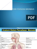anatomi fisiologi bronkus