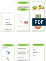 Leaflet Gastritis