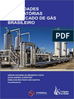 Atualidades Regulatórias Do Mercado de Gás Brasileiro