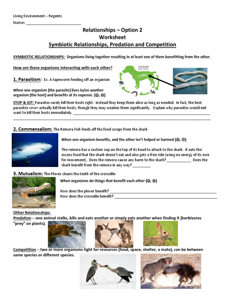 Symbiotic Relationships Predation and Competition Packet PDF Pertaining To Symbiotic Relationships Worksheet Answers