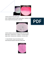 Contoh Soal Histologi