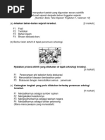 Tingkatan 3 Sejarah Contoh Soalan Bahagian C Kssm 2019 Pdf