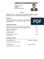 Curriculum Vitae Luis Melon Ruiz