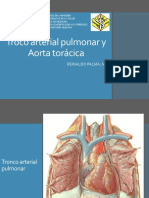 Tronco pulmonar y aorta 2017.pptx