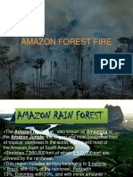 AMAZON FOREST FIRE PPT Final
