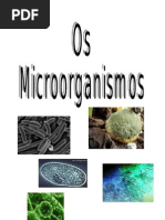 Download Ruben Lista Facal Traballo Microorganismos by Rubn Lista Facal SN44179686 doc pdf