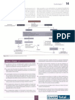 Cardiologia PDF