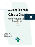 vicente_paulo_campos_godinho_palestra.pdf