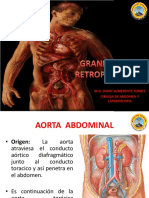 4 Clase GRANDES VASOS RETRO PERITONEO 2019-1 PDF