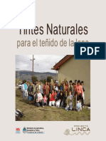 cartilla_tintes.pdf