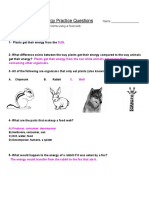 organisms with energy practice questions key