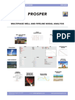 Petex_PROSPER_.pdf