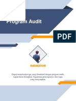 Program Audit - Copy