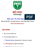 MO HC Histology PDF