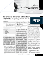 APUNTES PRNCIPIOS DEL PAD.pdf