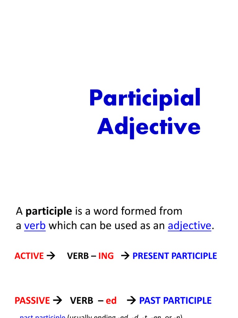 Particifial Adjective Syntax Grammar