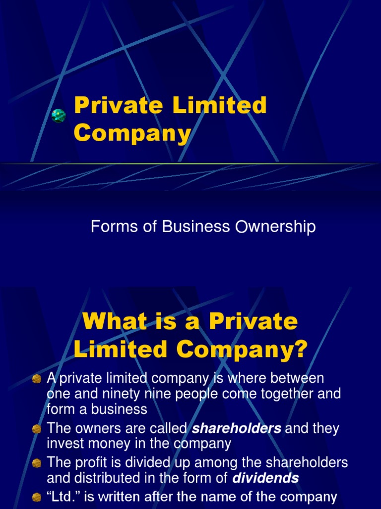 Private Limited Company | PDF | Limited Company | Board Of Directors