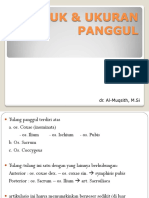 BENTUK & UKURAN PANGGUL.pdf