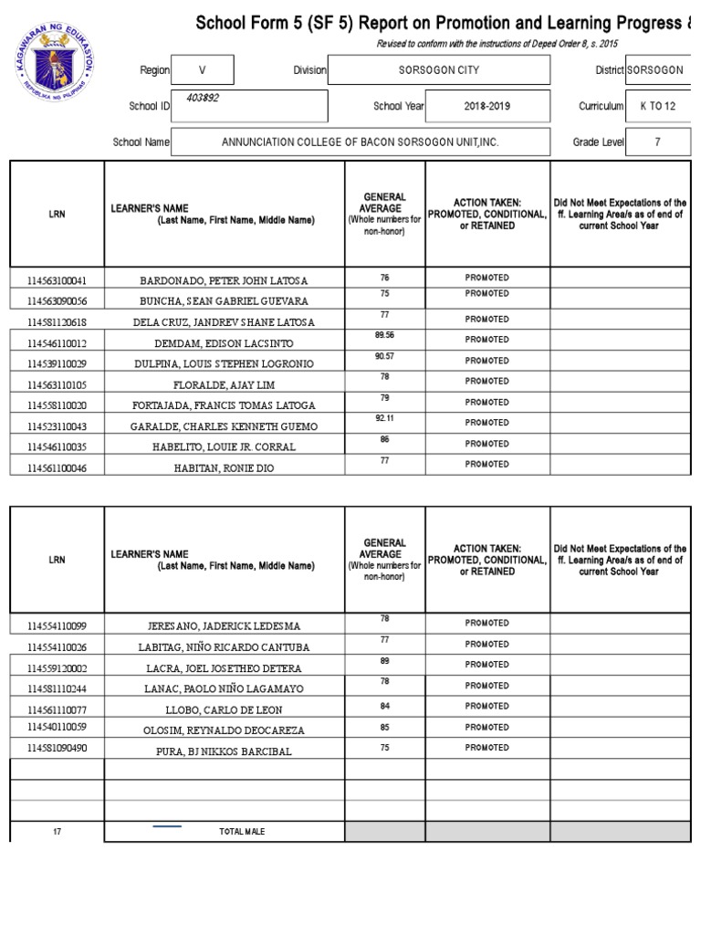 SF 5 Promotion Report 2018-2019 | PDF | Learning | Educational Psychology
