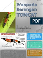 Presentasi Tomcat