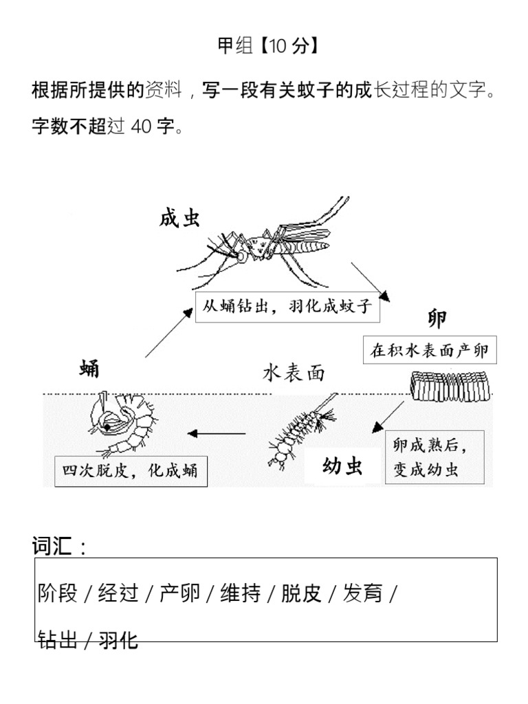 蚊子的成长过程 甲 大纲2 Pdf