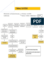 Pathway CAD STEMI Revisi