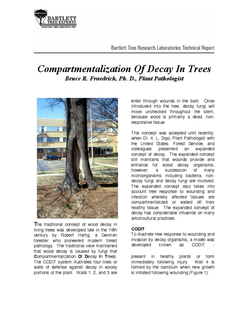 Compartmentalization of Decay in Trees | PDF | Trees | Wood