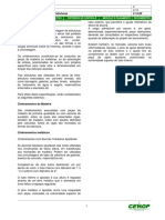 Contenções e Escoramentos - Cimbramento de Grandes Estruturas PDF