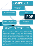 Analis Protein