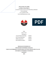 ISOLASI DNA PLASMID