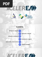 E-book do AcelerEA.pdf