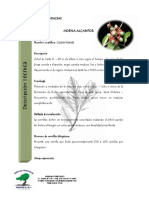 Ficha Tecnica PDF