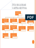 Struktur Organisasi CV Tata Mitra Sentosa