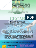 Corporacion Universitaria Del Caribe Cecar