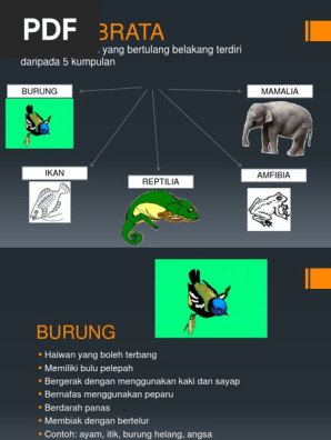 Haiwan Vertebrata Pdf