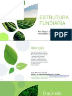 Estrutura Fundiária