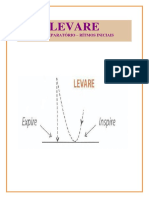 Levare, o Gesto Preparatório