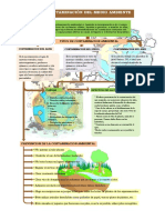 Mapa Conceptual Contaminacion