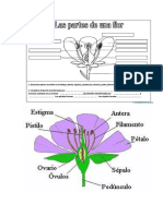 LA_FLOR_Y_SUS_PARTES_C.NATURALES_12h35_17-10-2019