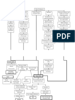 Pathway Tumor Recti