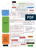 Diagrama-de-Flujo_NormativaPF_ESP.pdf