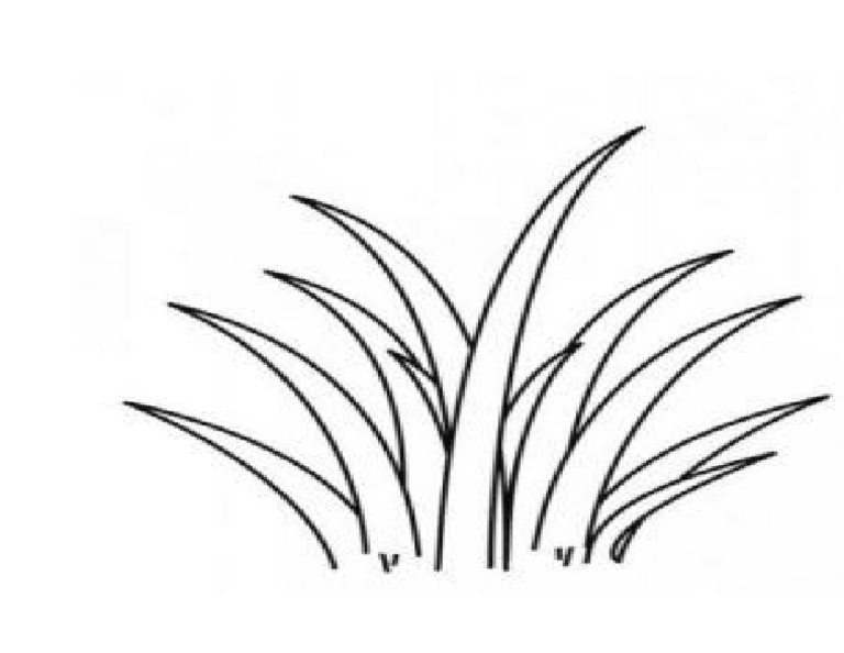 Gambar Rumput | PDF
