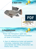 Pembesaran Nila