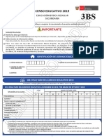 Cedula 3BS Censo Educativo 2019